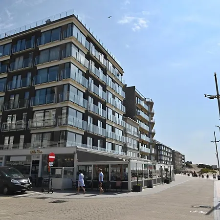 Lumineux En Bord De Koksijde